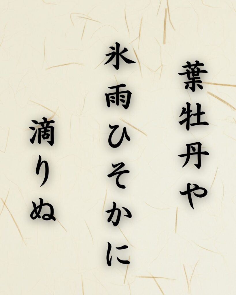 末吉俳句日記「葉牡丹や 氷雨ひそかに 滴りぬ」俳句テキスト画像