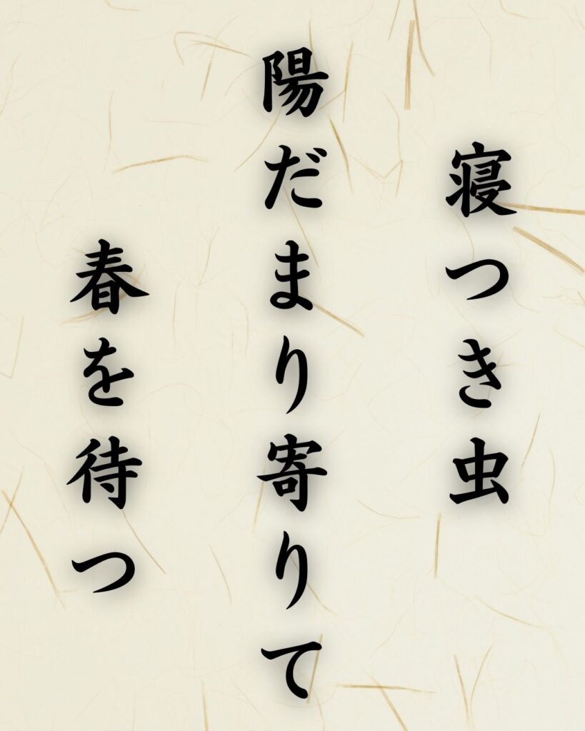 末吉俳句日記「寝つき虫 陽だまり寄りて 春を待つ」俳句テキスト画像