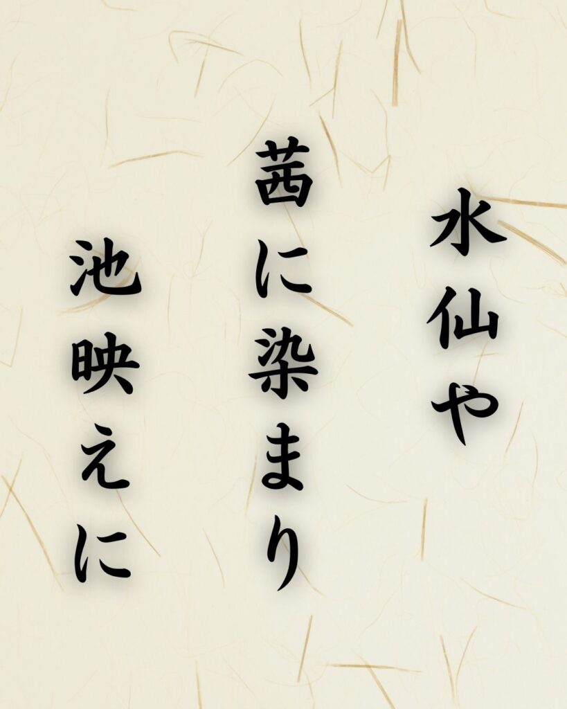 末吉俳句日記「水仙や 茜に染まり 池映えに」俳句テキスト画像