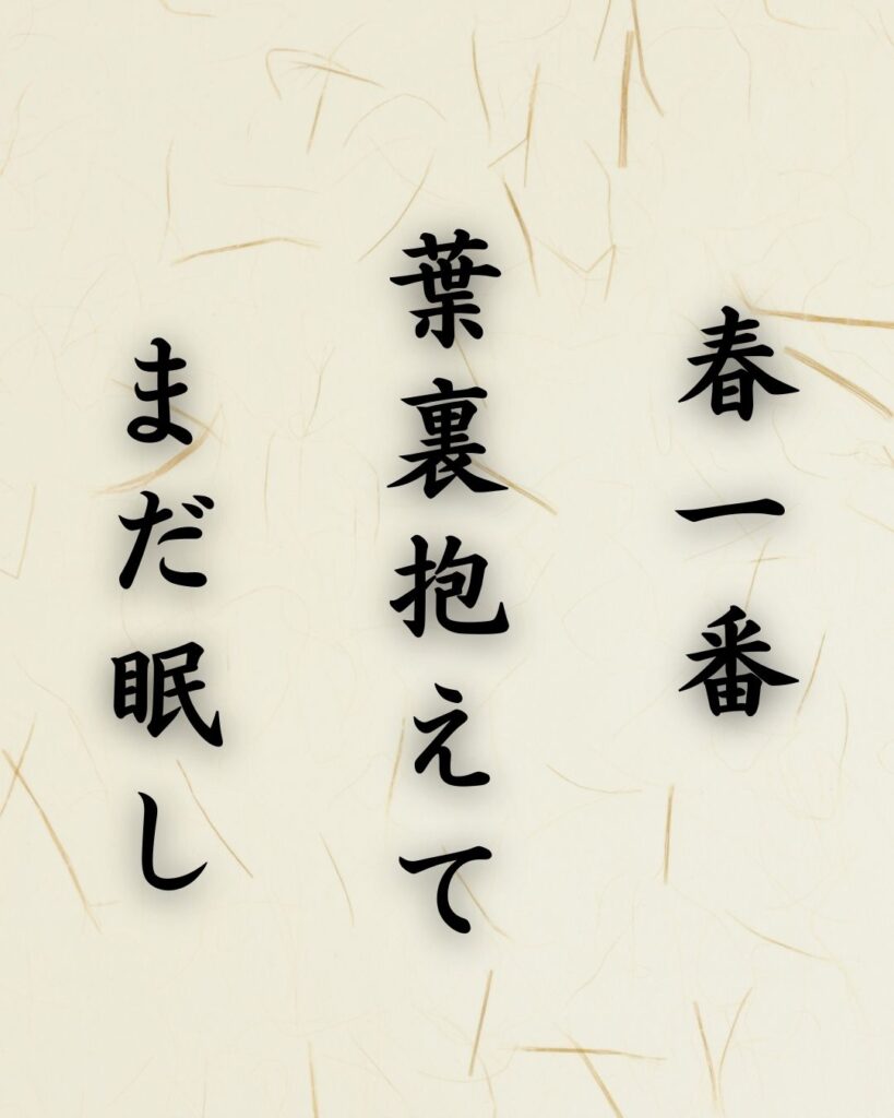 末吉俳句日記「春一番 葉裏抱えて まだ眠し」俳句テキスト画像