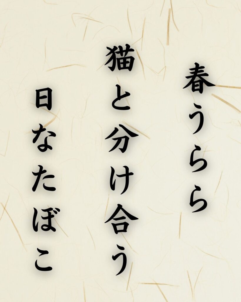 末吉俳句日記「春うらら 猫と分け合う 日なたぼこ」俳句テキスト画像