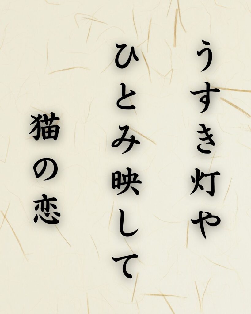 末吉俳句日記「うすき灯や ひとみ映して 猫の恋」俳句テキスト画像