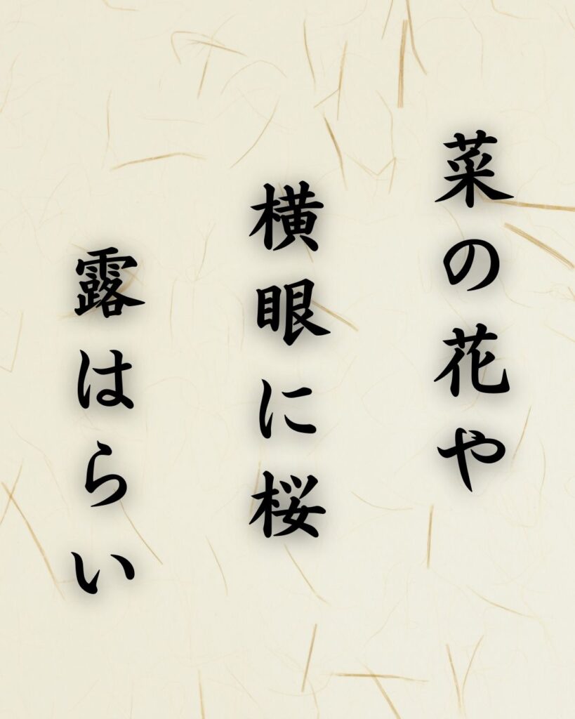 末吉俳句日記「菜の花や 横眼に桜 露はらい」俳句テキスト画像