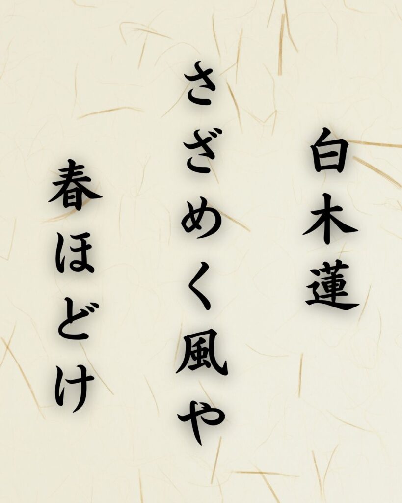 末吉俳句日記「白木蓮　さざめく風や　春ほどけ」俳句テキスト画像
