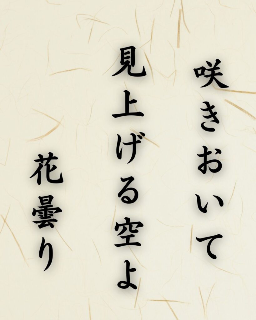 末吉俳句日記「咲きおいて　見上げる空よ　花曇り」俳句テキスト画像
