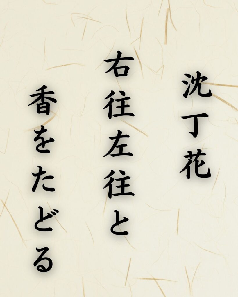 末吉俳句日記「沈丁花 右往左往と 香をたどる」俳句テキスト画像