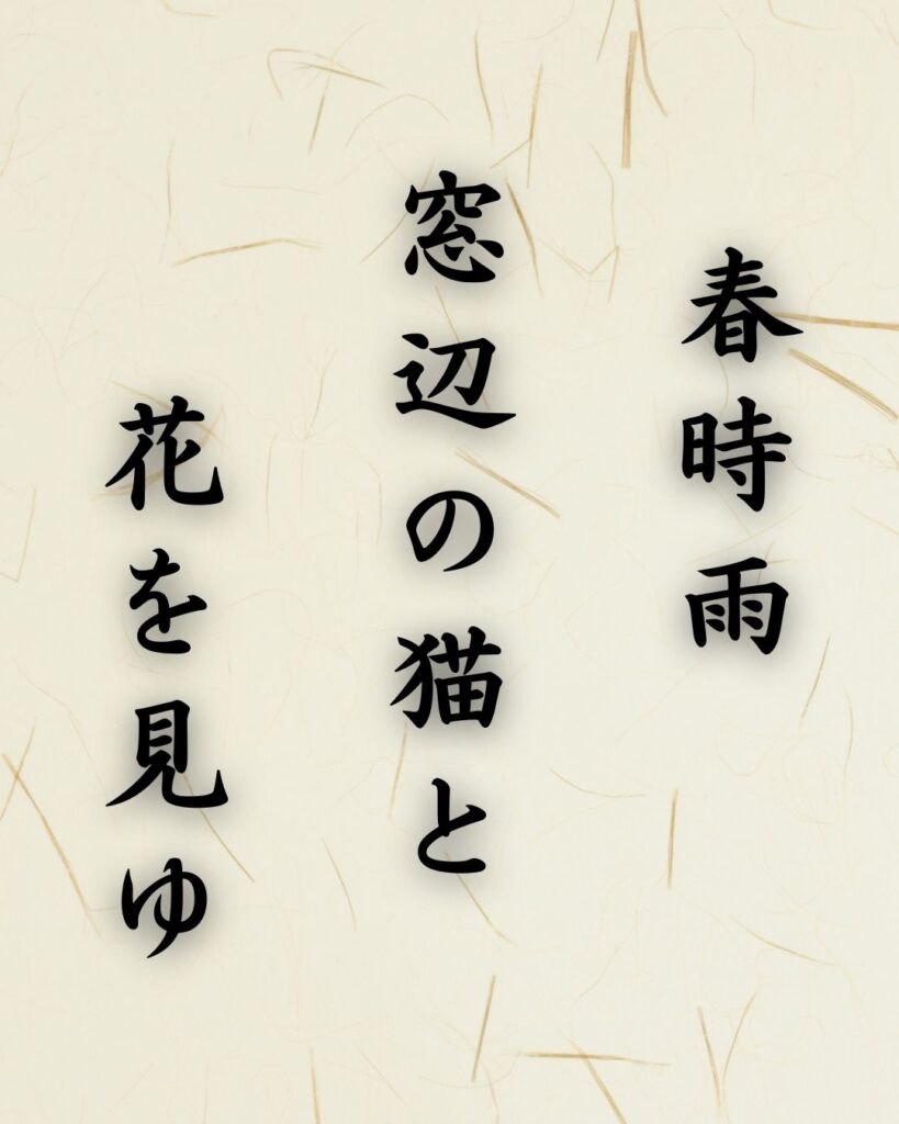 末吉俳句日記「春時雨 窓辺の猫と 花を見ゆ」俳句テキスト画像