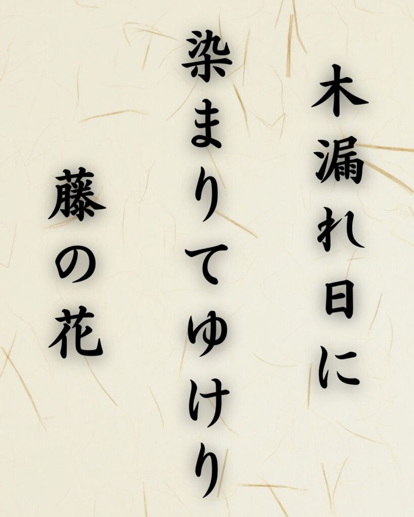 末吉俳句日記「木漏れ日に 染まりてゆけり 藤の花」俳句テキスト画像