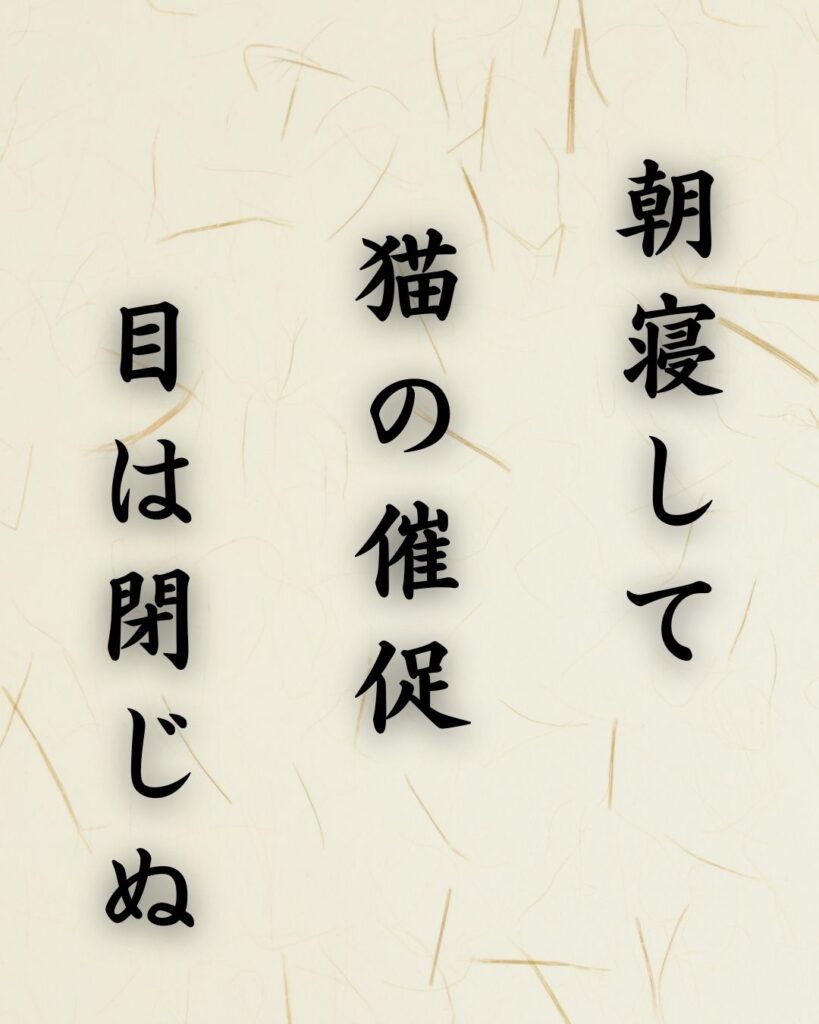 末吉俳句日記「朝寝して 猫の催促 目は閉じぬ」俳句テキスト画像