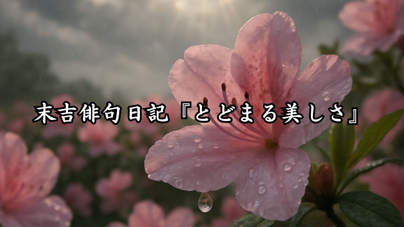 末吉俳句日記『とどまる美しさ』タイトルイメージ