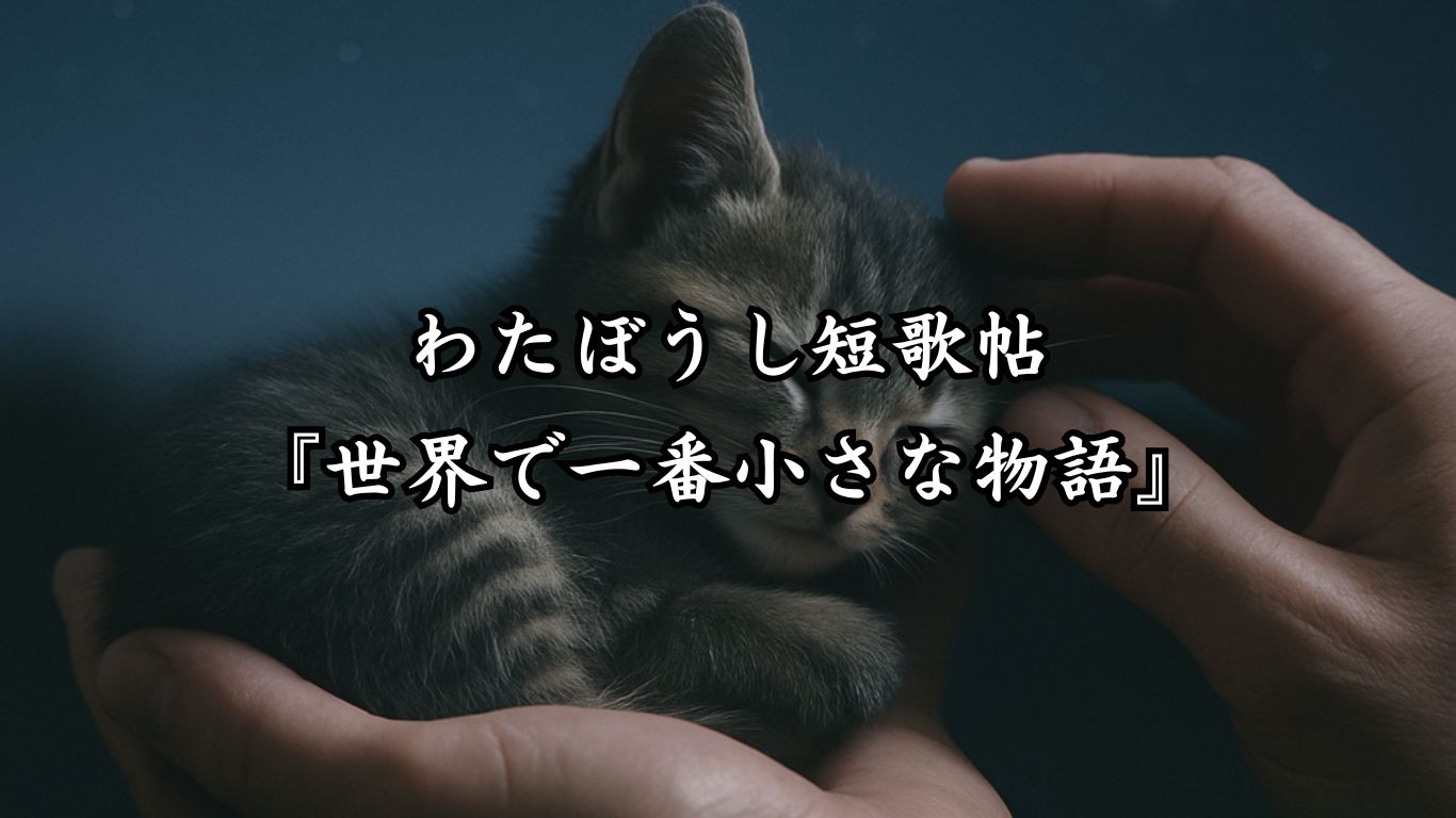 わたぼうし短歌帖『世界で一番小さな物語』タイトルイメージ画像