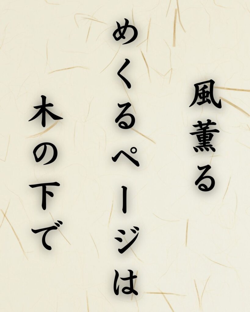 末吉俳句日記「風薫る めくるページは 木の下で」俳句テキスト画像