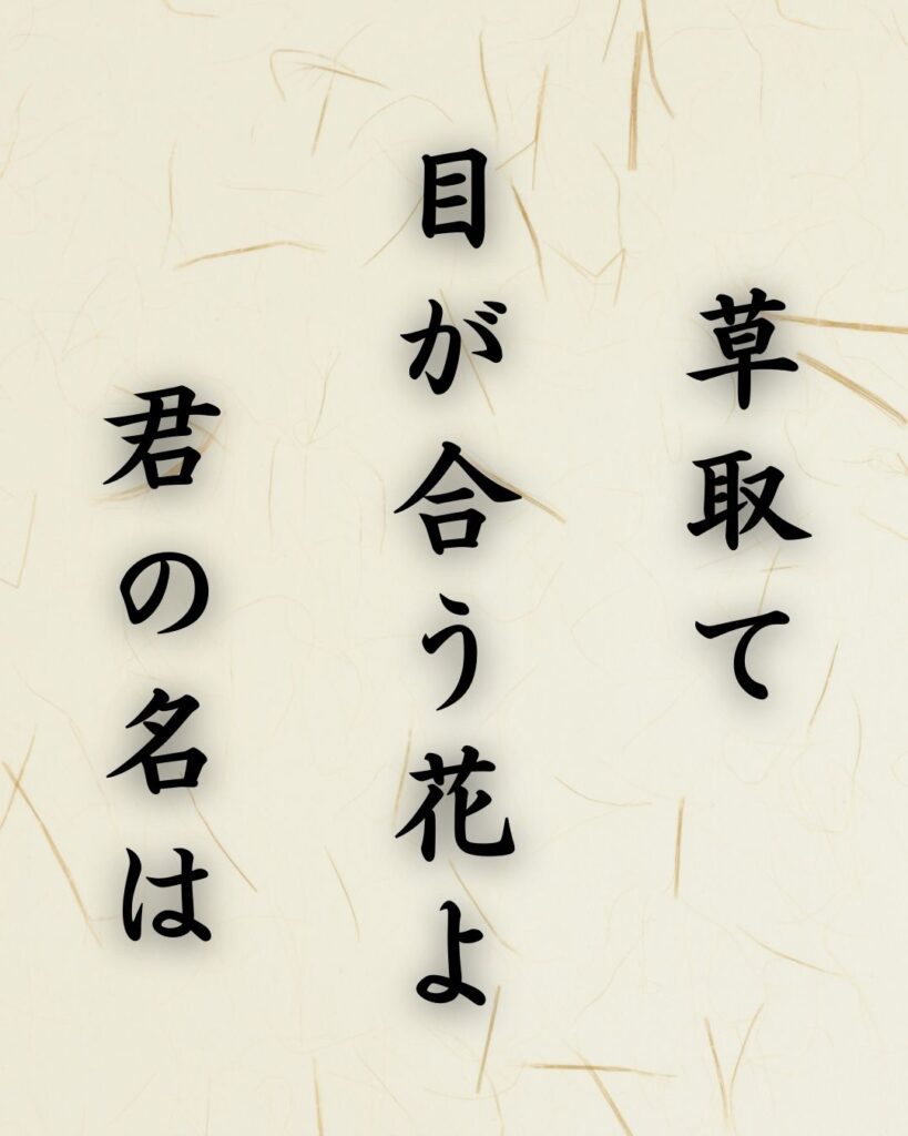 末吉俳句日記「草取て 目が合う花よ 君の名は」俳句テキスト画像