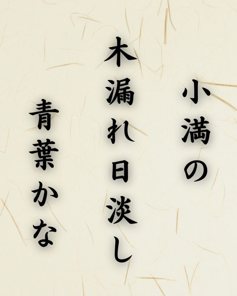 末吉俳句日記「小満の 木漏れ日淡し 青葉かな」俳句テキスト画像