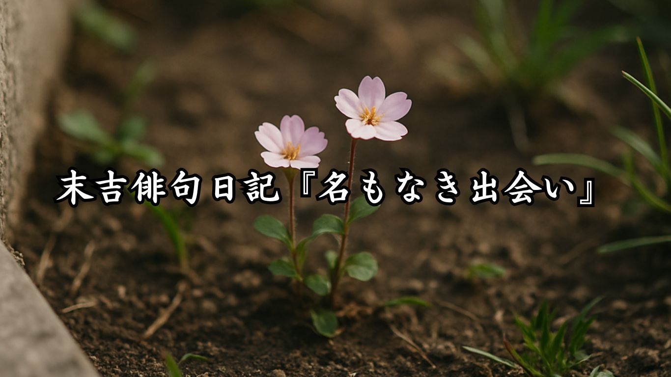 末吉俳句日記『名もなき出会い』タイトルイメージ
