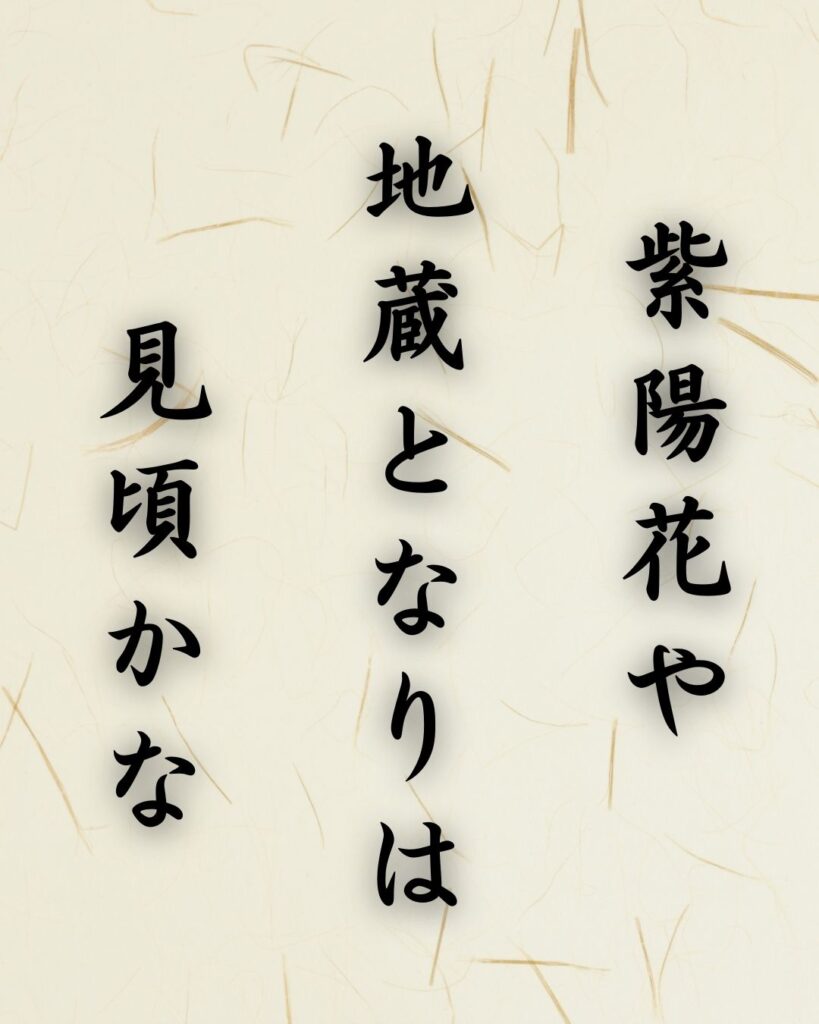 末吉俳句日記「紫陽花や 地蔵となりは 見頃かな」俳句テキスト画像
