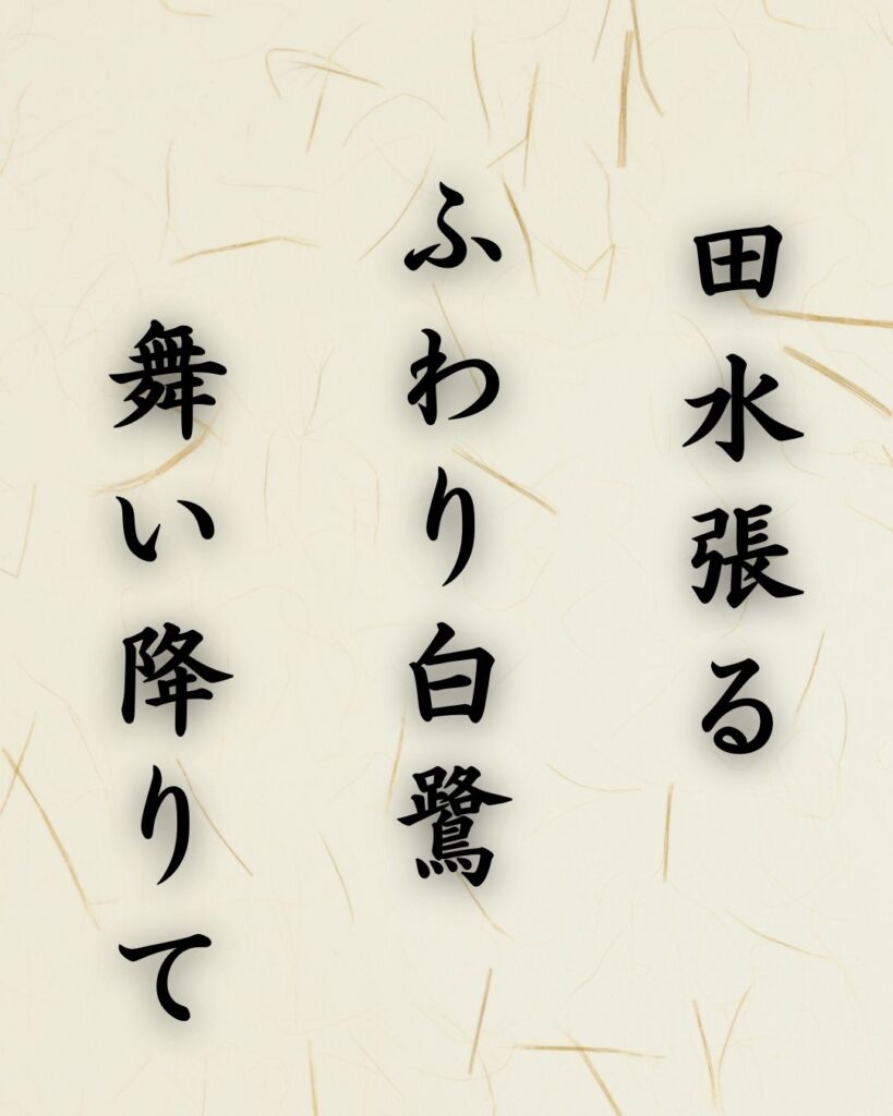 末吉俳句日記「田水張る ふわり白鷺 舞い降りて」俳句テキスト画像