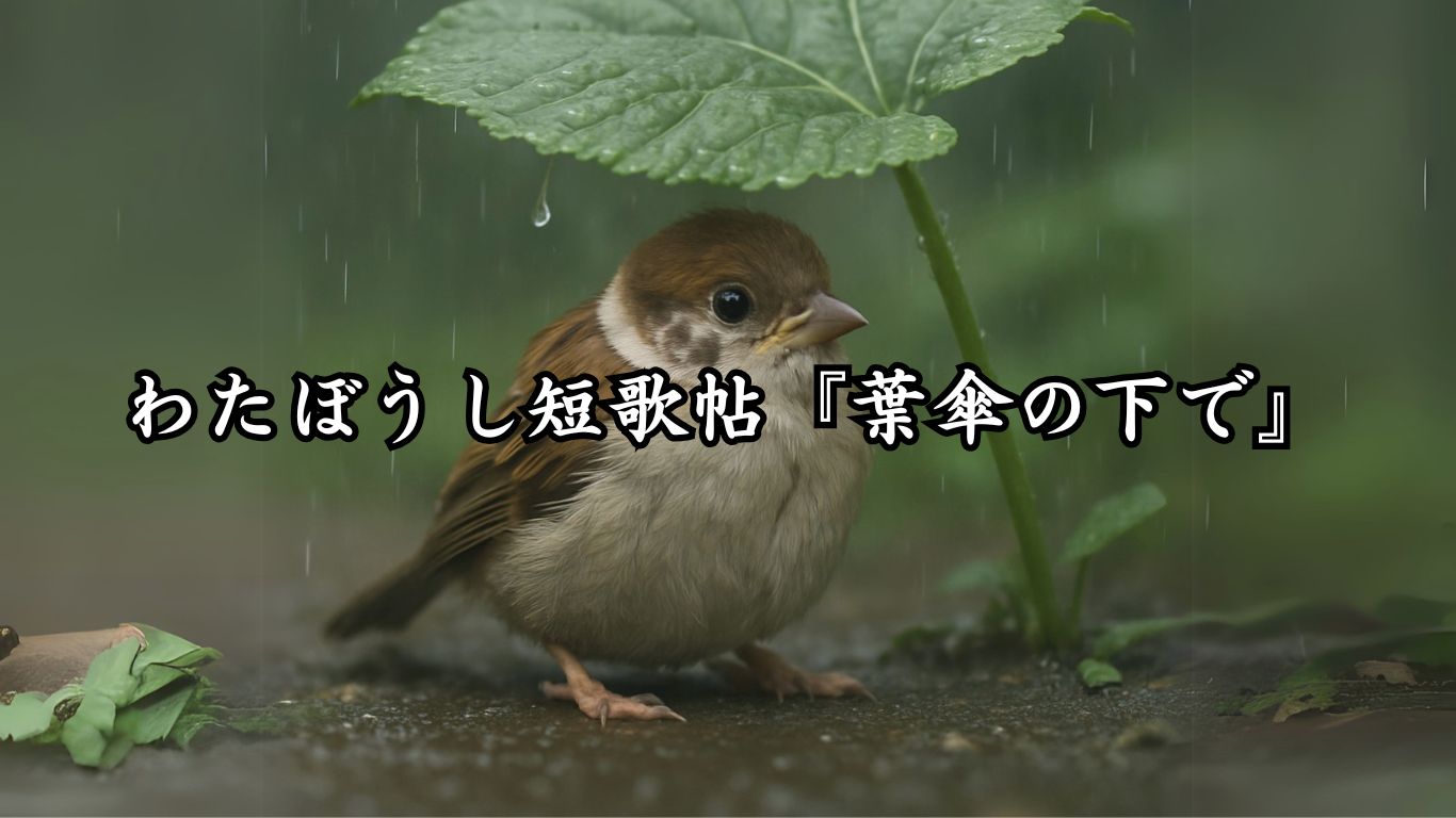 わたぼうし短歌帖『葉傘の下で』タイトルイメージ画像