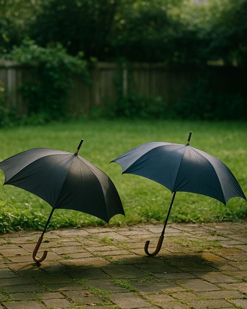 末吉俳句日記「空梅雨や 庭にうつろな 傘ふたつ」俳句イメージ画像