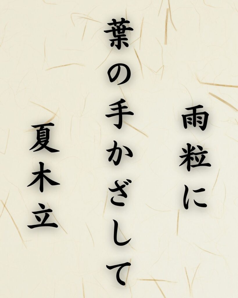 末吉俳句日記「雨粒に 葉の手かざして 夏木立」俳句イメージ画像