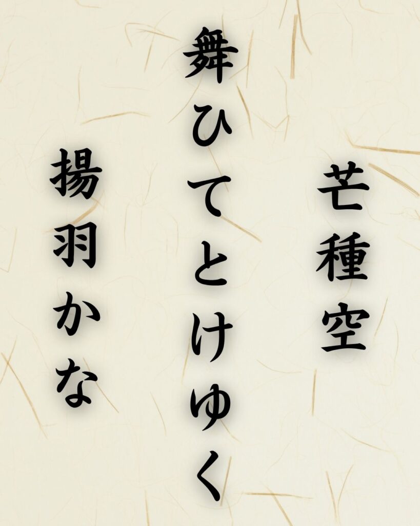 末吉俳句日記「芒種空 舞ひてとけゆく 揚羽かな」俳句テキスト画像