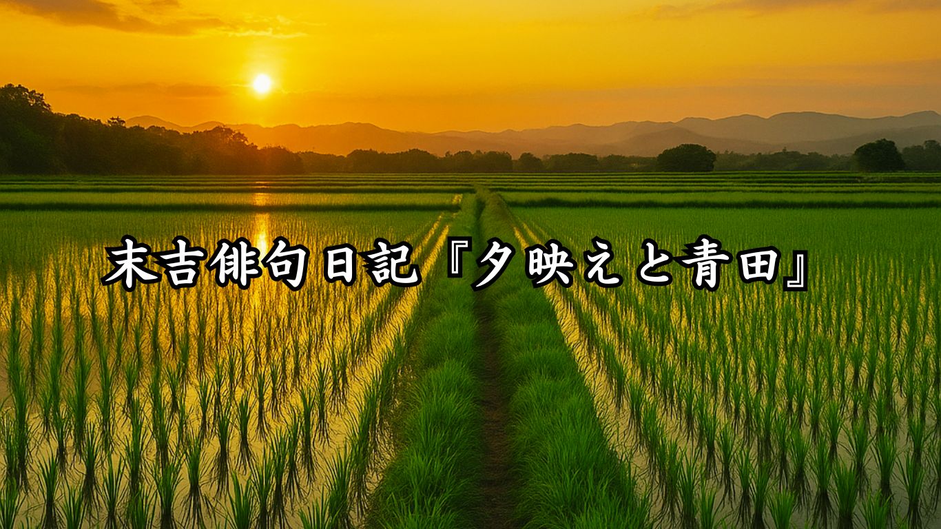末吉俳句日記『夕映えと青田』タイトルイメージ