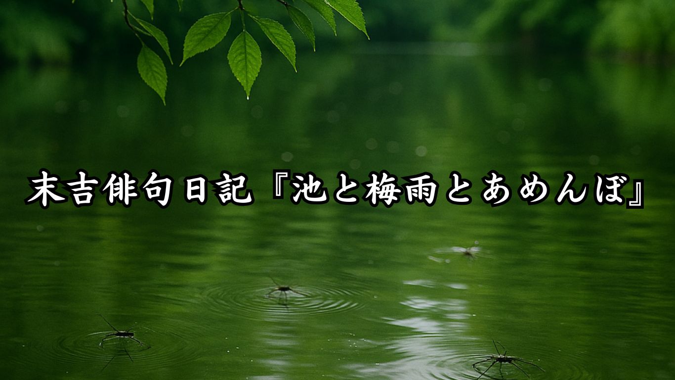 末吉俳句日記『池と梅雨とあめんぼ』タイトルイメージ