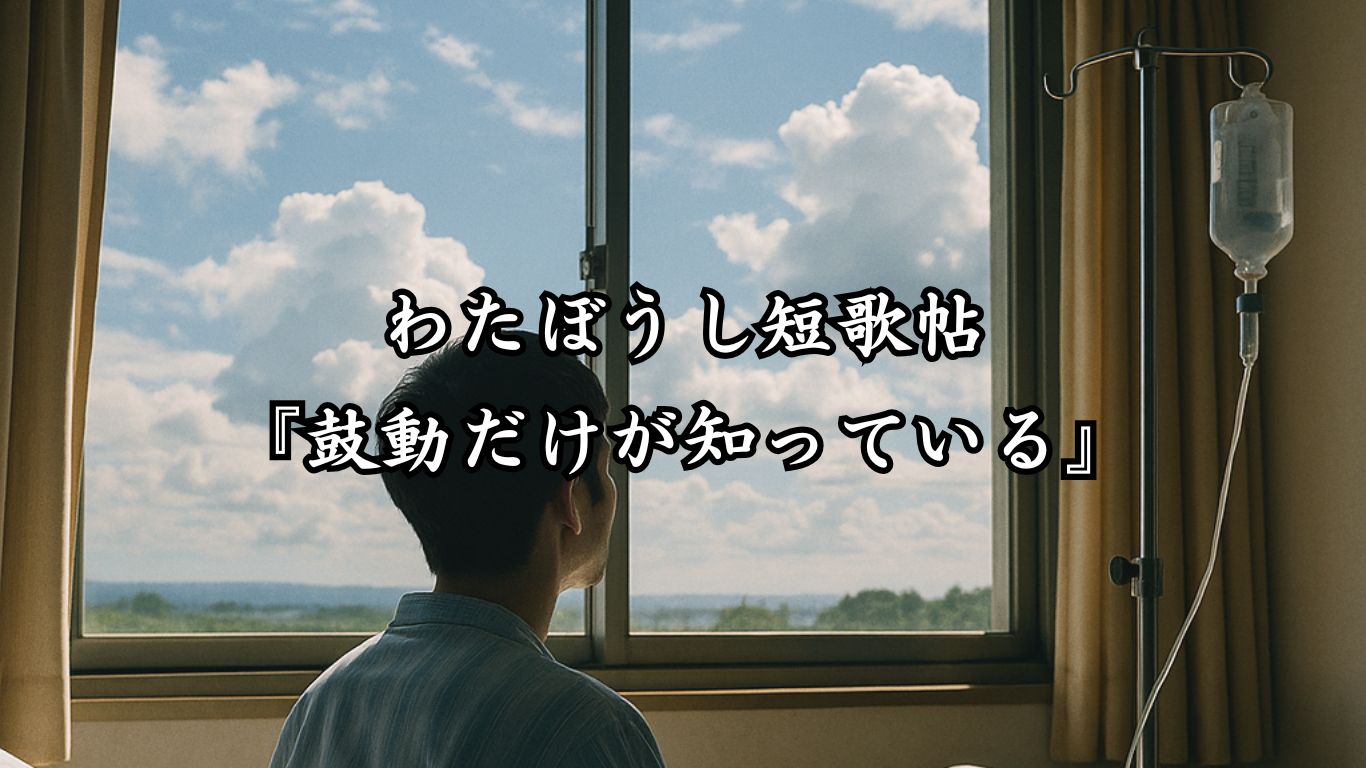 わたぼうし短歌帖『鼓動だけが知っている』タイトルイメージ画像