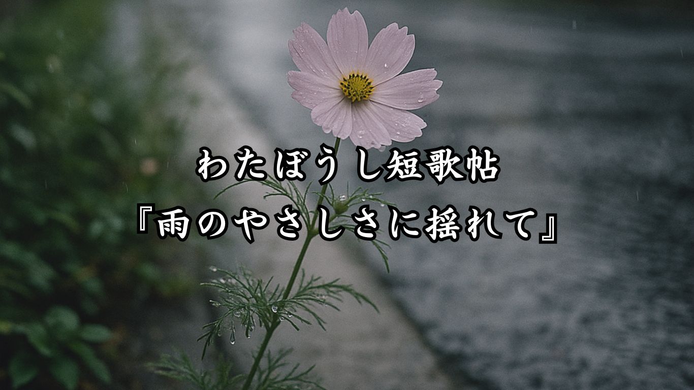 わたぼうし短歌帖『雨のやさしさに揺れて』タイトルイメージ画像