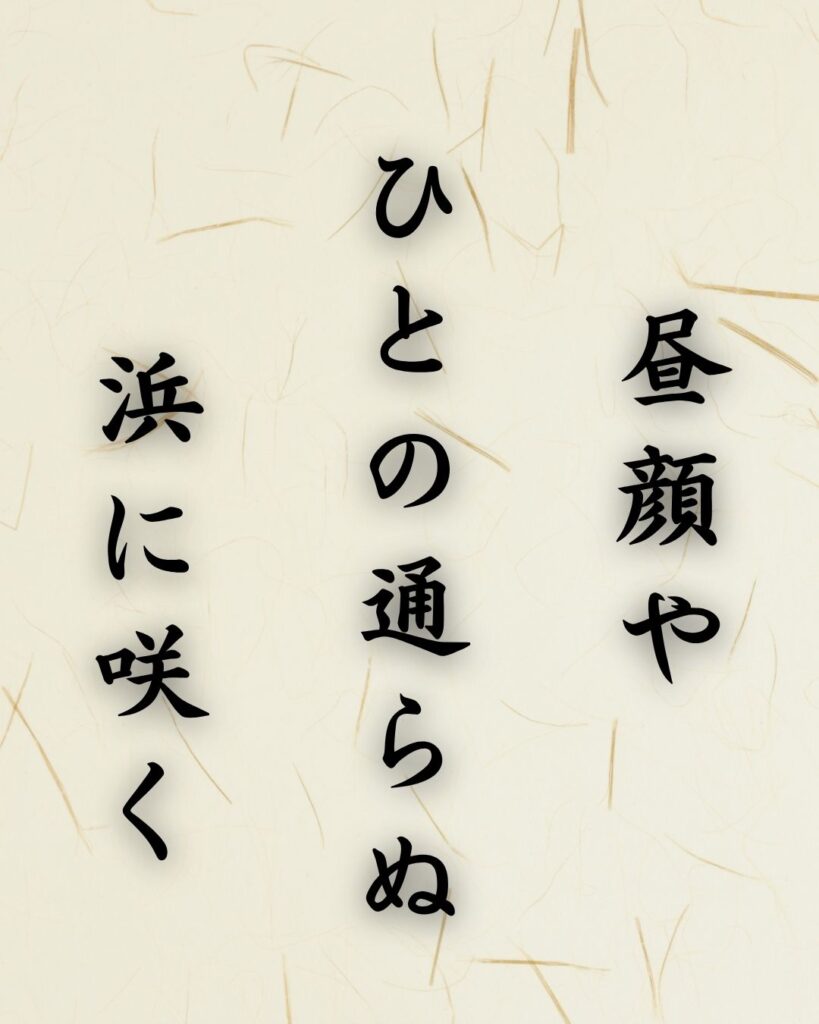 末吉俳句日記「昼顔や ひとの通らぬ 浜に咲く」俳句イメージ画像
