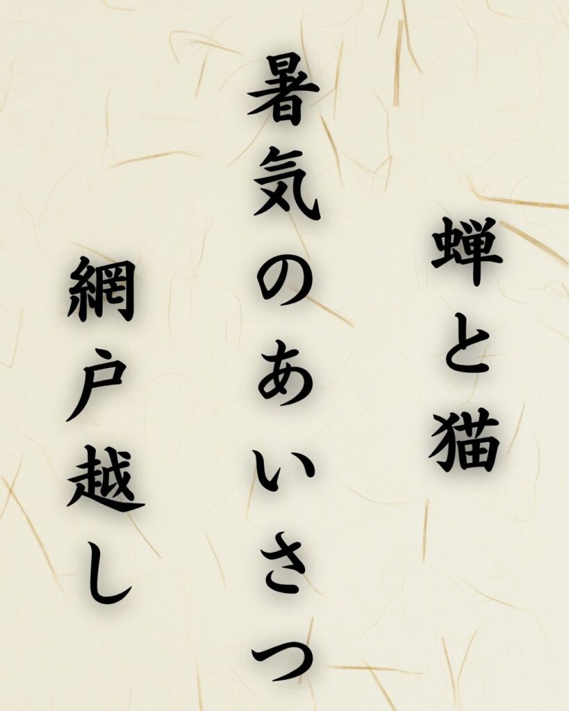 末吉俳句日記「蝉と猫 暑気のあいさつ 網戸越し」俳句イメージ画像