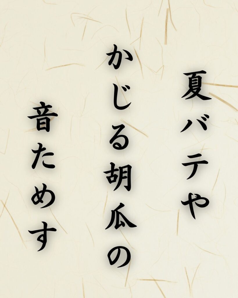 末吉俳句日記「蝉と猫　暑気のあいさつ　網戸越し」俳句イメージ画像