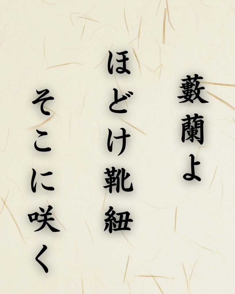 末吉俳句日記「藪蘭よ ほどけ靴紐 そこに咲く」俳句イメージ画像