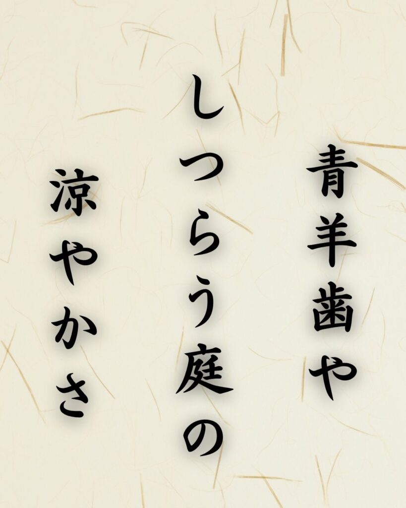 末吉俳句日記「青羊歯や しつらう庭の 涼やかさ」俳句イメージ画像