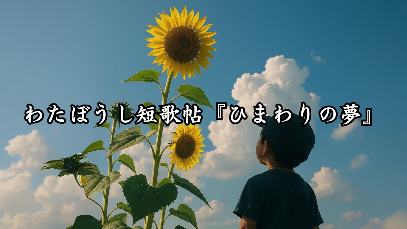 わたぼうし短歌帖『ひまわりの夢』タイトルイメージ画像