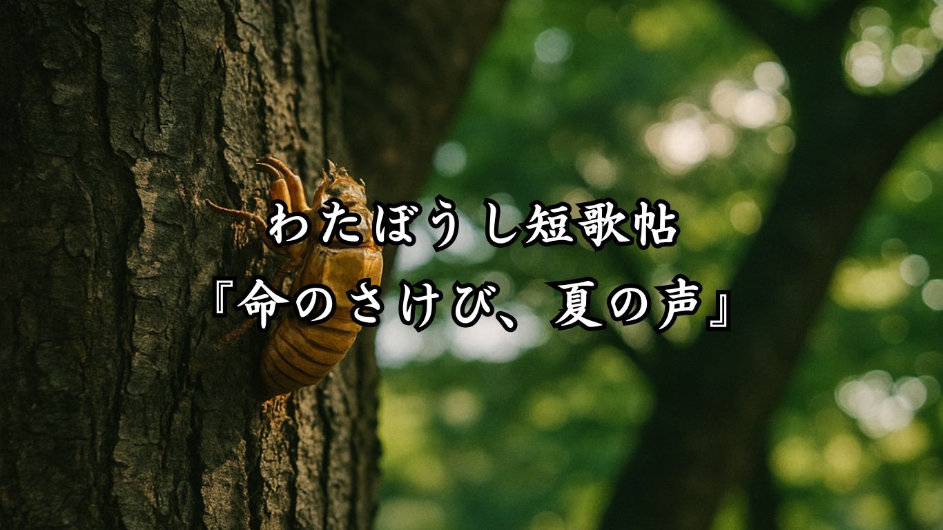 わたぼうし短歌帖『命のさけび、夏の声』タイトルイメージ画像