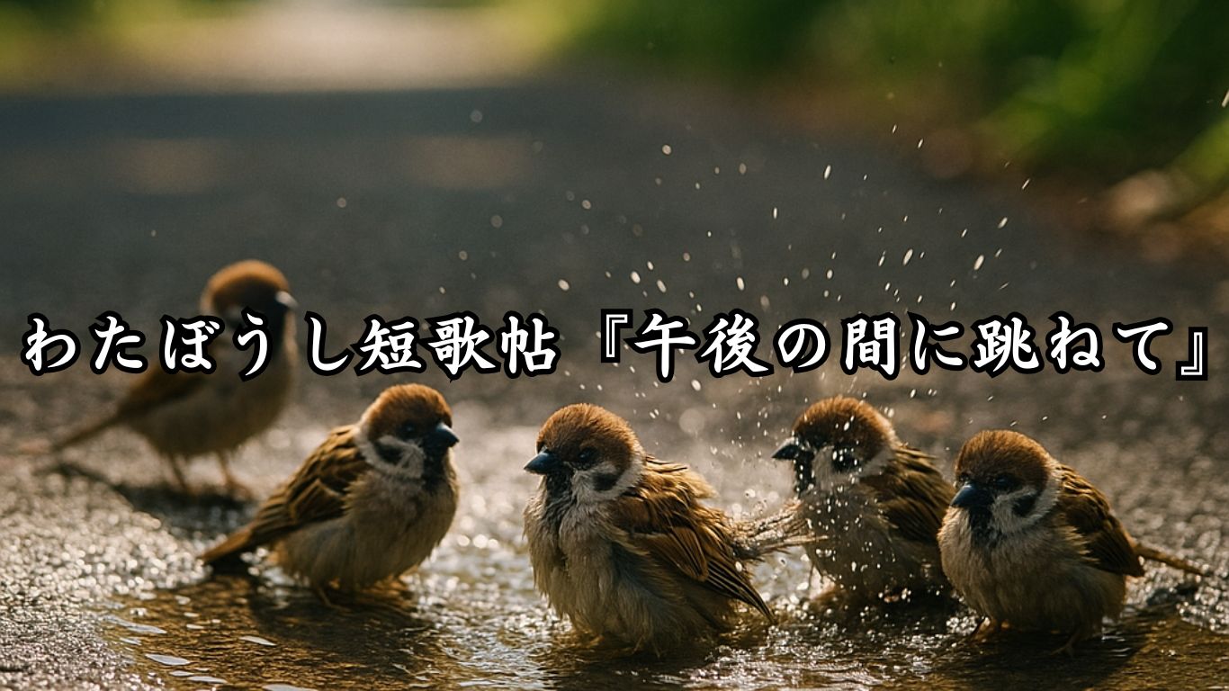 わたぼうし短歌帖『午後の間に跳ねて』タイトルイメージ画像