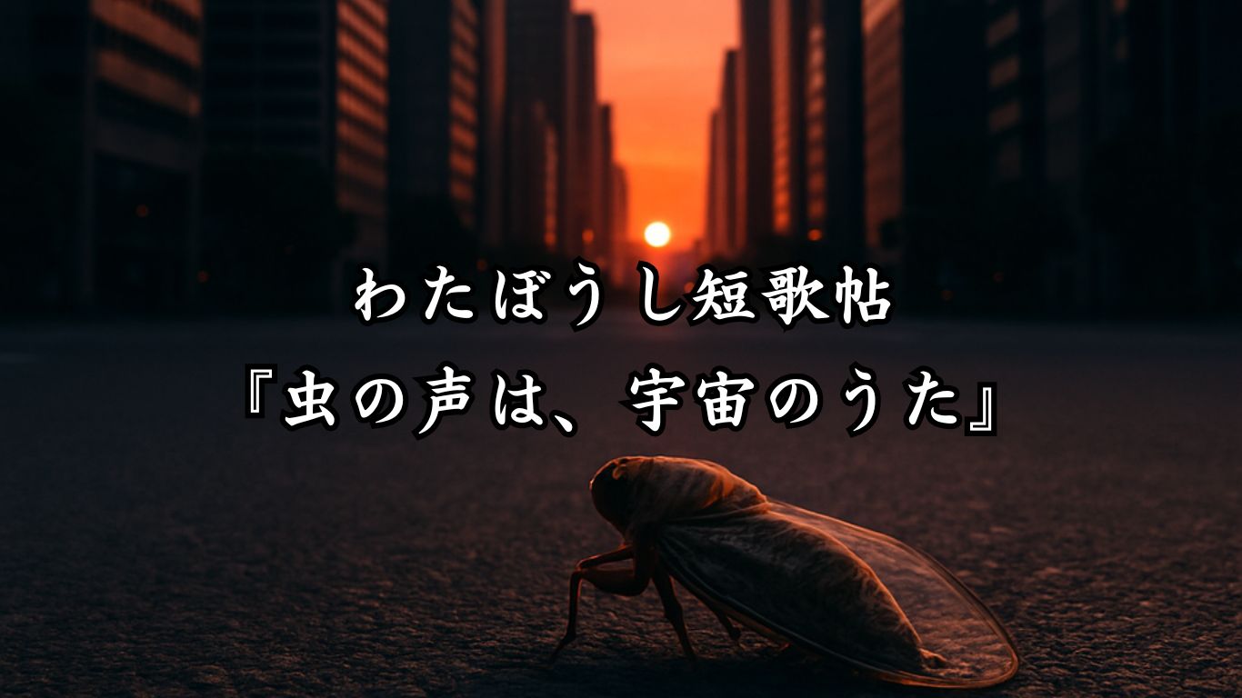 わたぼうし短歌帖『ひとくちの夏』タイトルイメージ画像