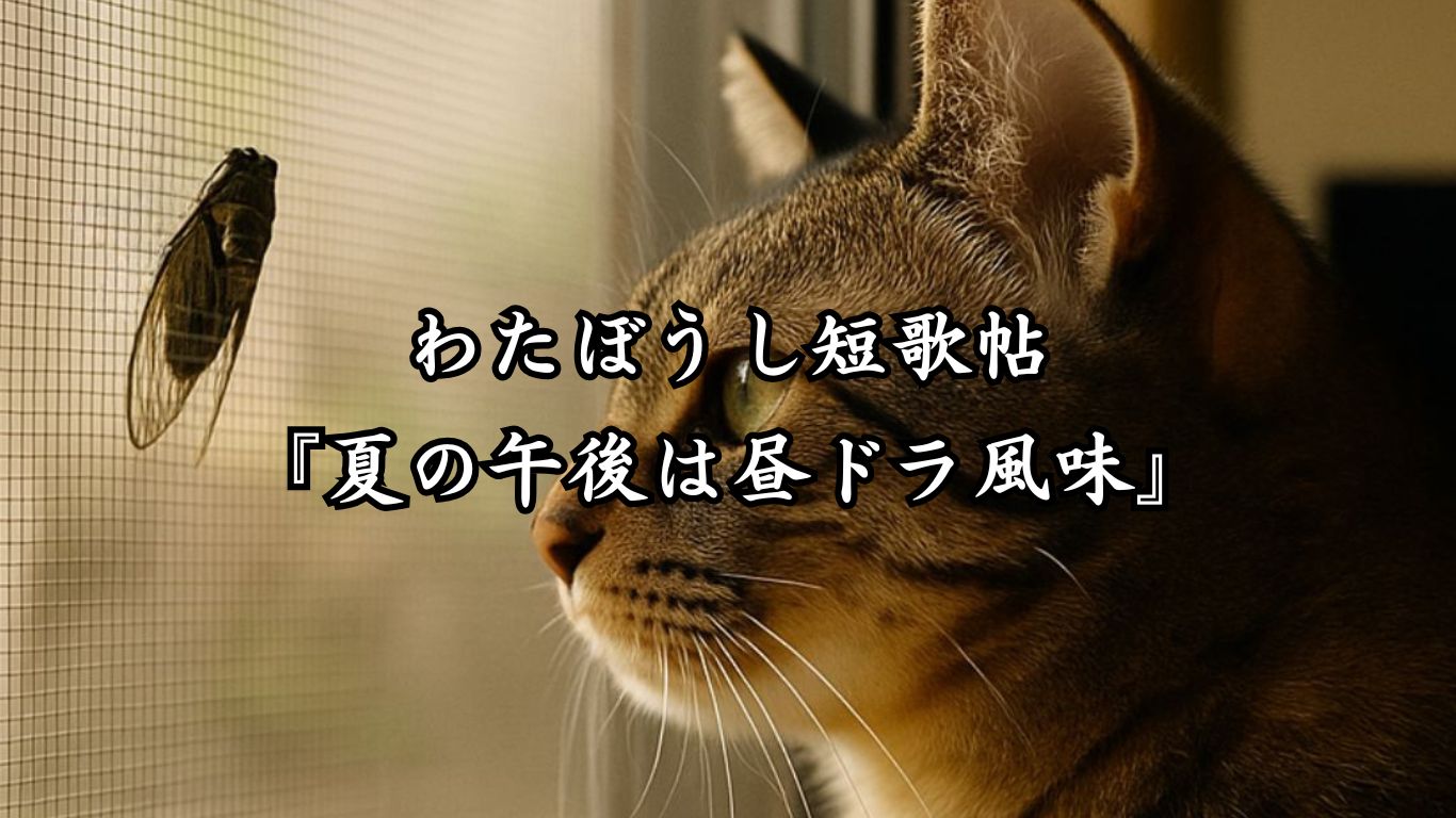 わたぼうし短歌帖『水と話せば、こころ澄む』タイトルイメージ画像