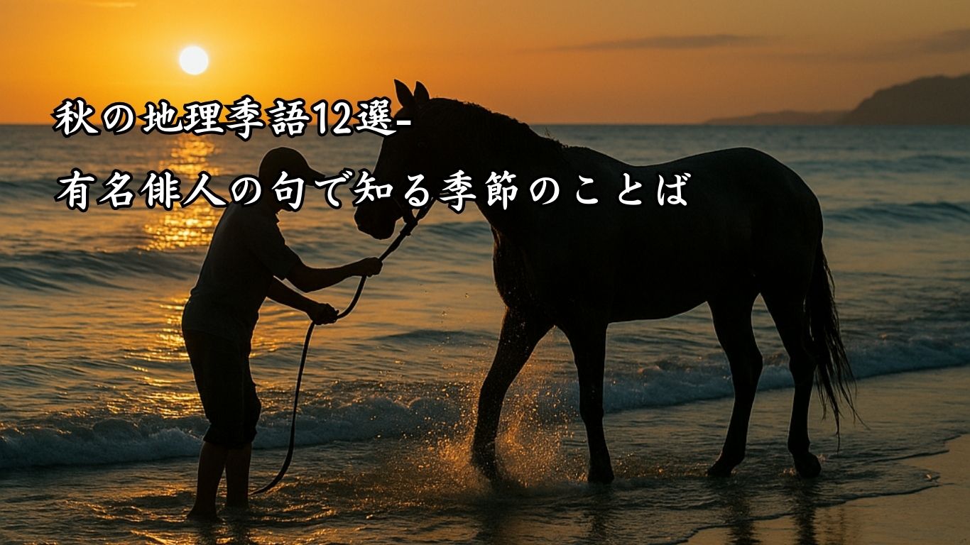 秋の地理季語12選-有名俳人の句で知る季節のことば「秋の海」『夕陽に　馬洗ひけり　秋の海』「正岡子規」の俳句のイメージイラスト画像