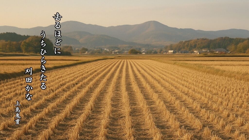 秋の地理季語12選-有名俳人の句で知る季節のことば「刈田」『去るほどに　うちひらきたる　刈田かな』「上島鬼貫」の俳句のイメージイラスト画像