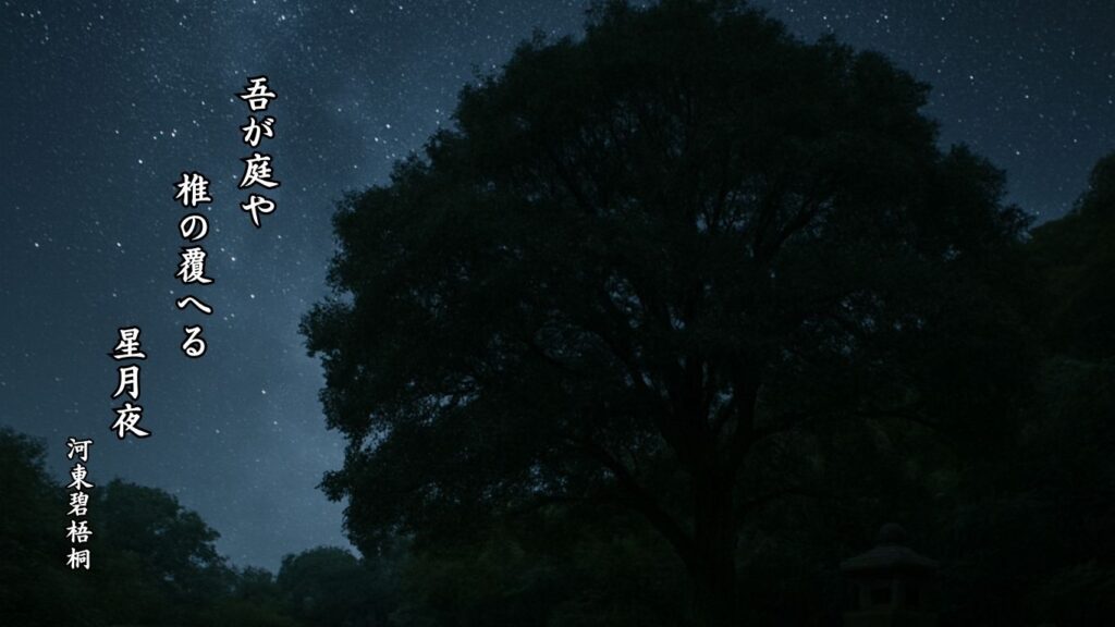 秋の天文季語12選-有名俳人の句で知る季節のことば「星月夜」『吾が庭や 椎の覆へる 星月夜』「河東碧梧桐」の俳句のイメージイラスト画像