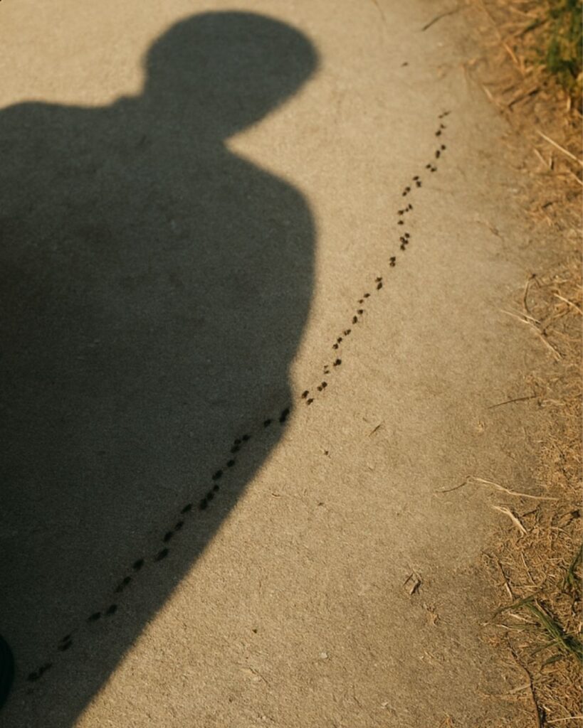 わたぼうし短歌帖「残暑なお　足もと見れば　蟻つづく
影とつながる　小さきいのち」短歌イメージ画像