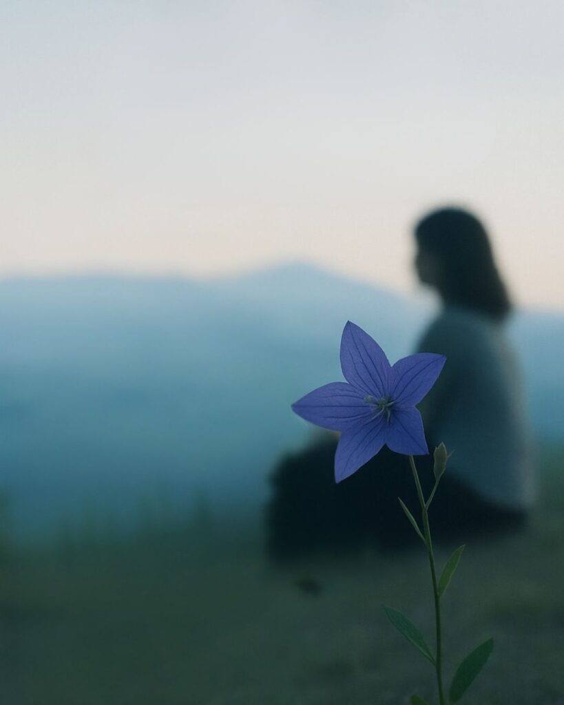 わたぼうし短歌帖「凛として 遠山見据う 桔梗の花
揺れても崩れぬ こころの静けさ」短歌イメージ画像