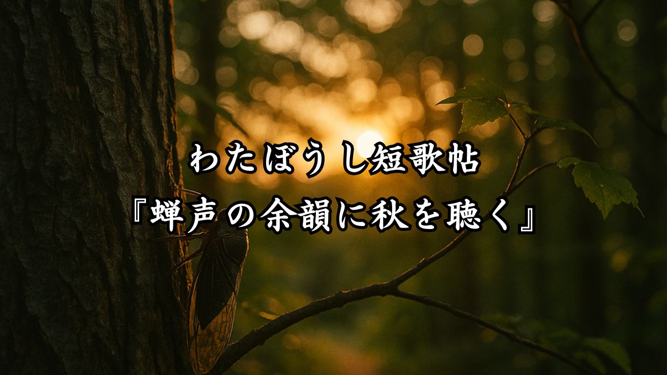 わたぼうし短歌帖『蝉声の余韻に秋を聴く』タイトルイメージ画像
