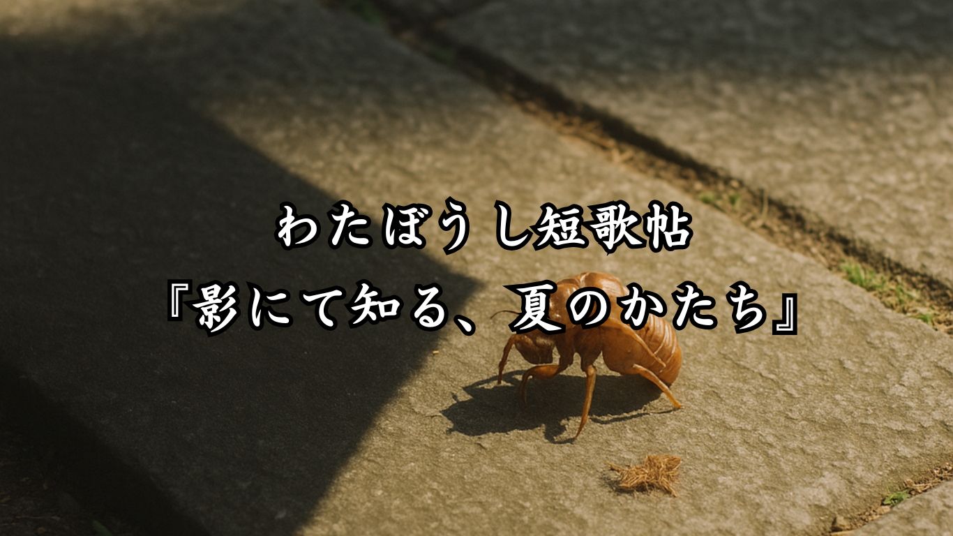 わたぼうし短歌帖『影にて知る、夏のかたち』タイトルイメージ画像
