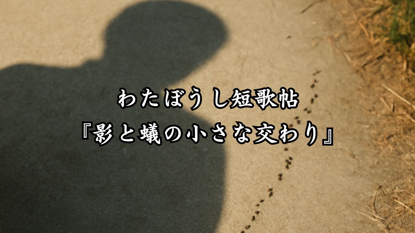 わたぼうし短歌帖『影と蟻の小さな交わり』タイトルイメージ画像