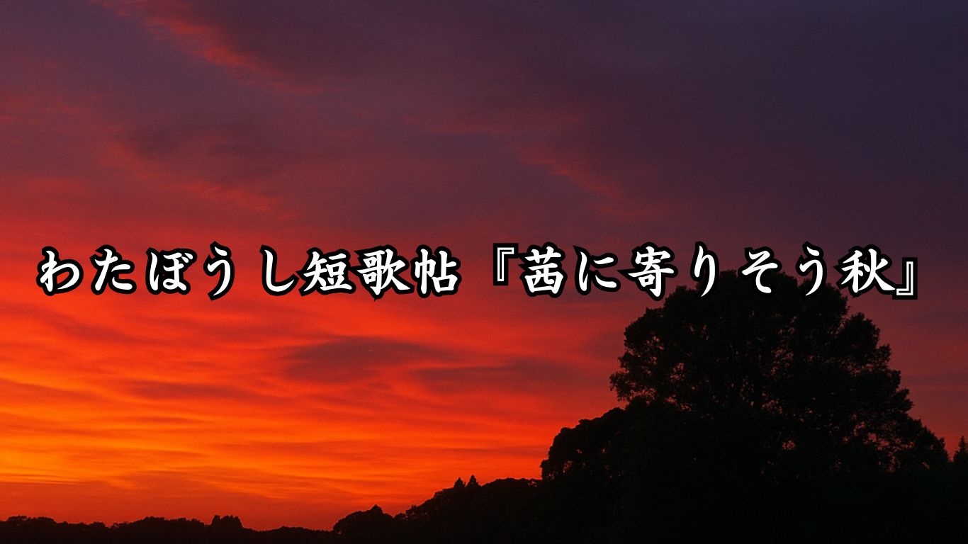 わたぼうし短歌帖『影と蟻の小さな交わり』タイトルイメージ画像