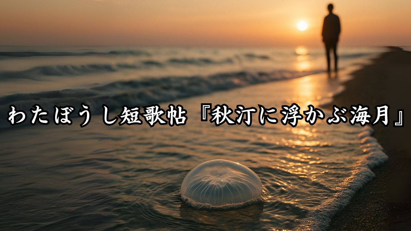 わたぼうし短歌帖『秋汀に浮かぶ海月』タイトルイメージ画像