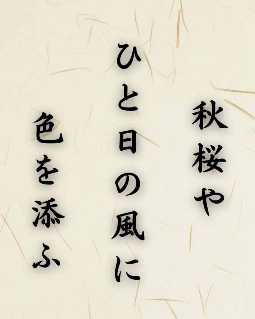 末吉俳句日記「秋桜や　ひと日の風に　色を添ふ」俳句テキスト画像